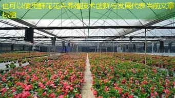 鲜花花卉养殖技术创新与发展